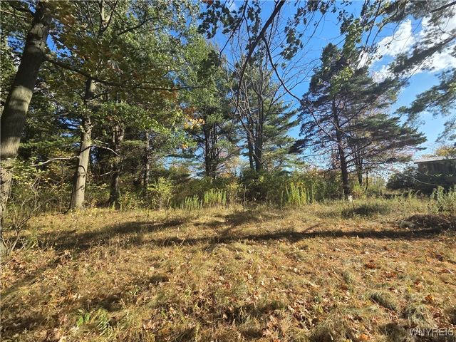 14503 Erway Trak Road, Carlton, NY 14411