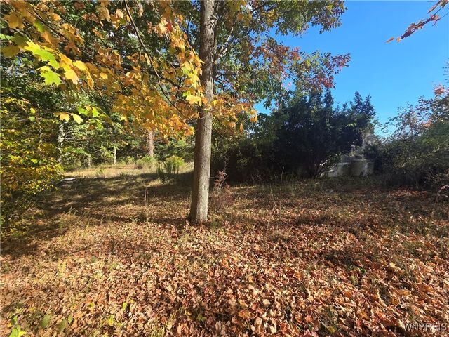 14503 Erway Trak Road, Carlton, NY 14411