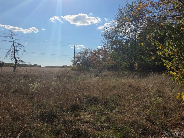 14503 Erway Trak Road, Carlton, NY 14411