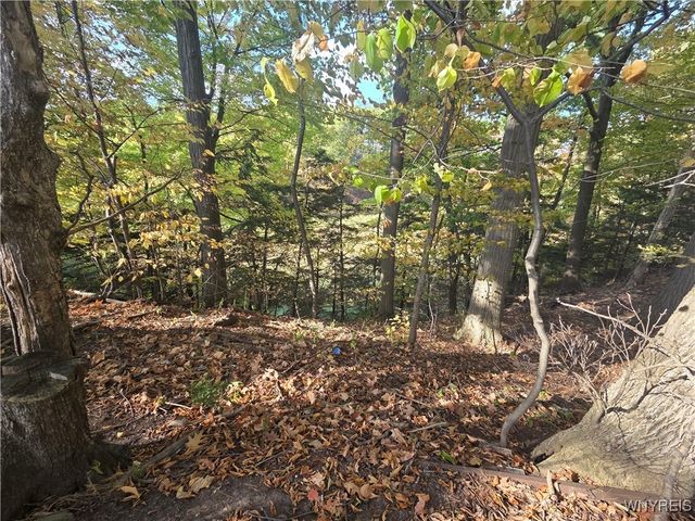 14503 Erway Trak Road, Carlton, NY 14411