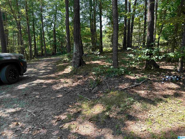 1390 ECHO TRAIL, Warrior, AL 35180