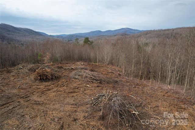 99999 Old Fort Road, Black Mountain, NC 28711