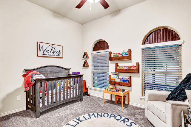 10100 Levelland Place, Mckinney, TX 75071