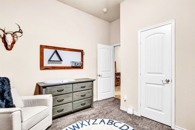 10100 Levelland Place, Mckinney, TX 75071