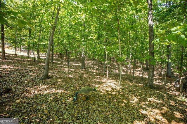 407 Ward Farm Drive, Powder Springs, GA 30127