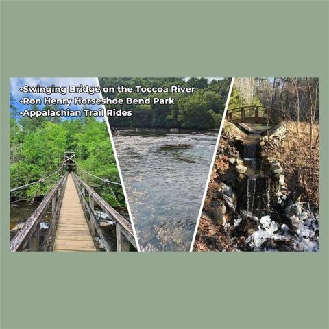 0 Dean Rd, Mineral Bluff, GA 30559