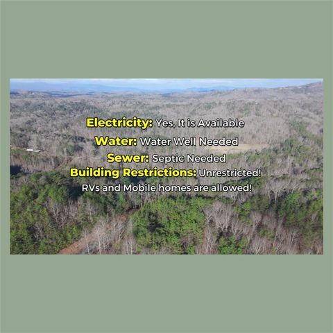 0 Dean Rd, Mineral Bluff, GA 30559