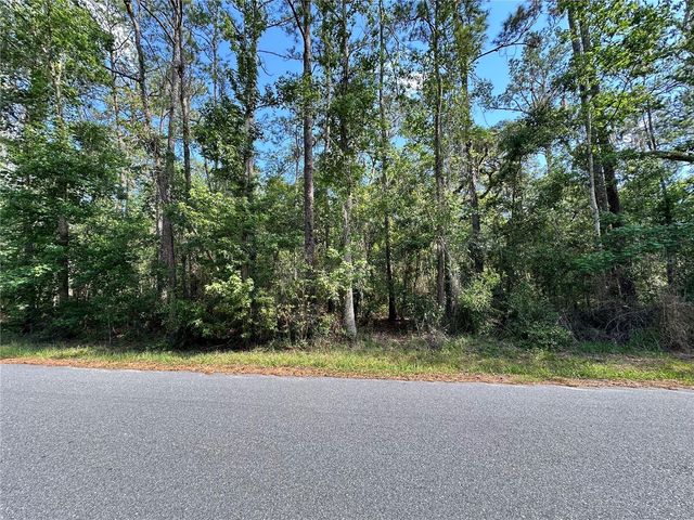 SKYVIEW CIRCLE, Brooksville, FL 34602