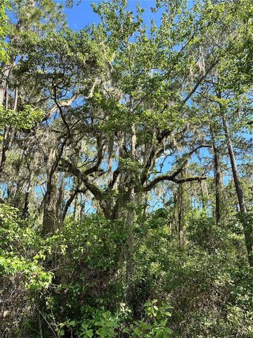 SKYVIEW CIRCLE, Brooksville, FL 34602