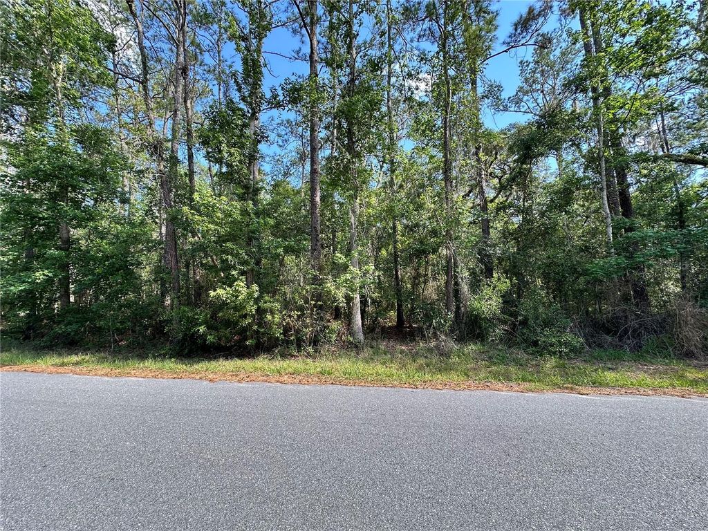 SKYVIEW CIRCLE, Brooksville, FL 34602
