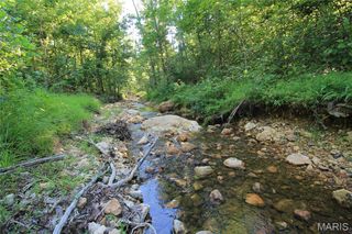 0 Madison CR 410 (113) Tract 113, Fredericktown, MO 63645