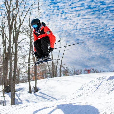 40 Beaver Brook Road, Yulan, NY 12792