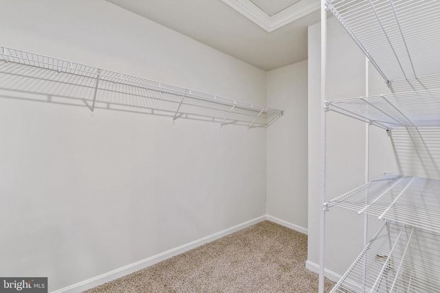 255 CORRERI ST, Havre De Grace, MD 21078