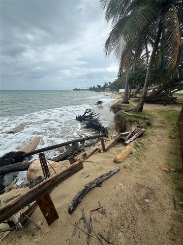 NE 206 EL CHARLIE NE 206, Loiza, PR 00772