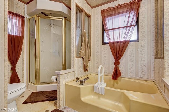 263 Trailzend Avenue, Overton, NV 89040