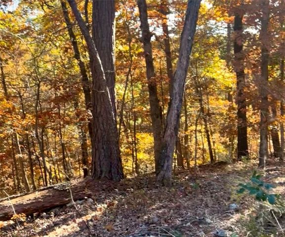 Lot 3, Block 3 Bridgeport Lane, Bella Vista, AR 72715