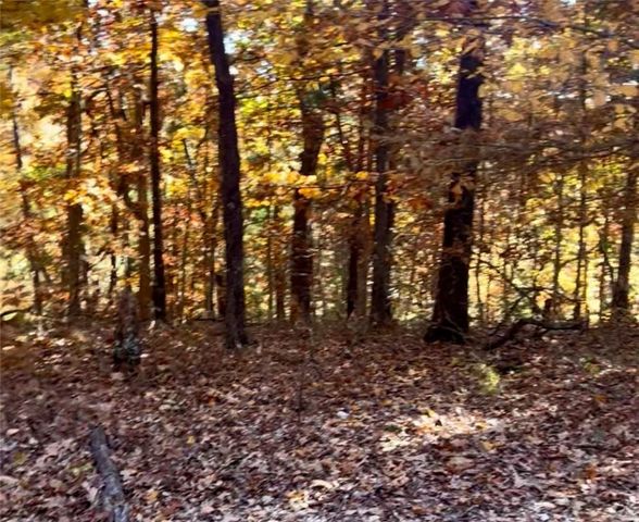 Lot 3, Block 3 Bridgeport Lane, Bella Vista, AR 72715