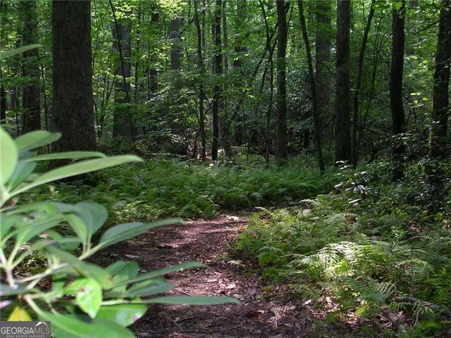 213 Little Coyote Loop, Waleska, GA 30183