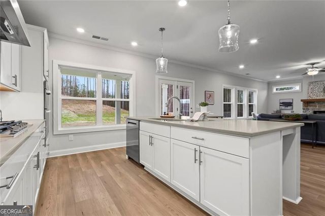 90 Riverwalk Manor Drive, Dallas, GA 30132