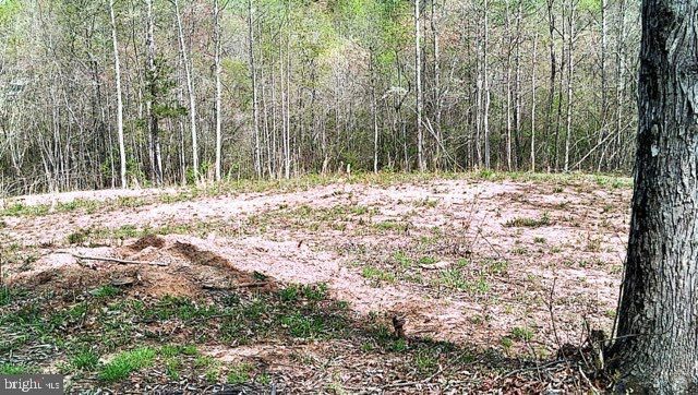 0 CURLEY LN, Bumpass, VA 23024