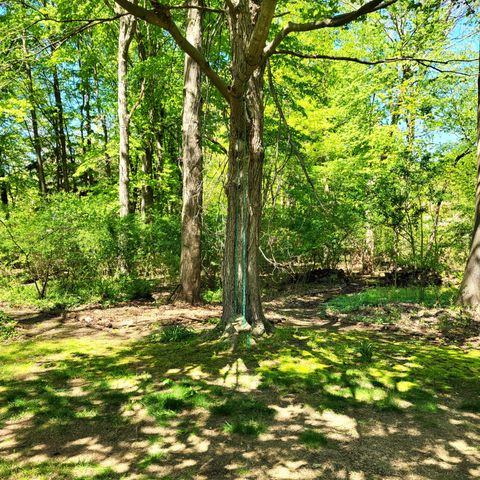 8605 East, Chikaming Twp, MI 49116