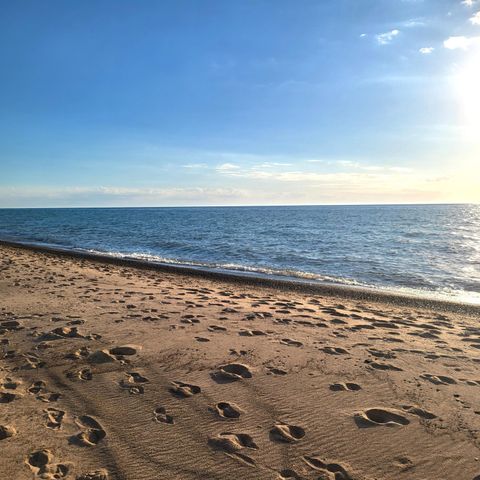 8605 East, Chikaming Twp, MI 49116