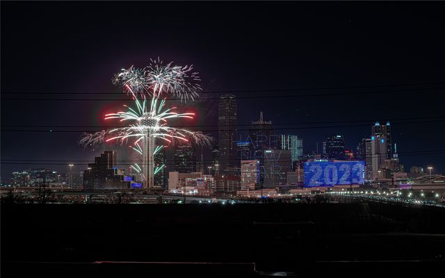 432 Trinity River Circle, Dallas, TX 75203