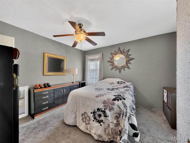 201 W Lakeview Drive, De Soto, MO 63020