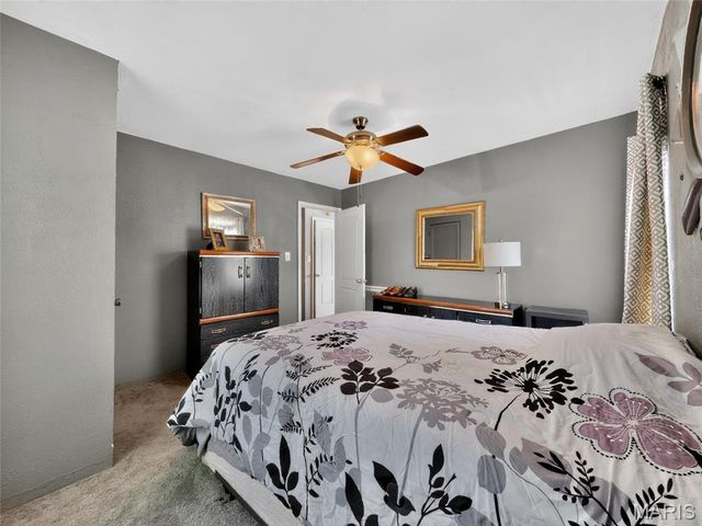 201 W Lakeview Drive, De Soto, MO 63020