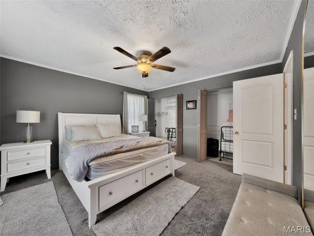 201 W Lakeview Drive, De Soto, MO 63020