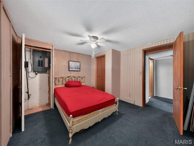 201 W Lakeview Drive, De Soto, MO 63020