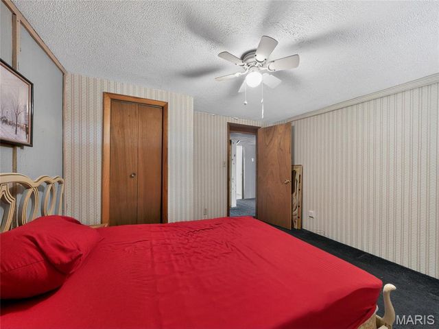 201 W Lakeview Drive, De Soto, MO 63020