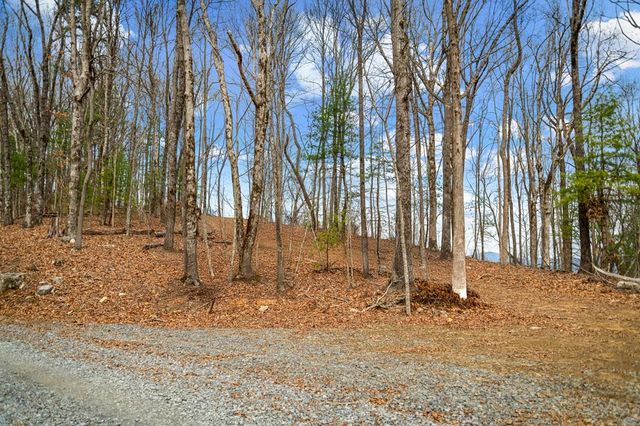 Lot 7 Pinhoti Pass, Ellijay, GA 30540