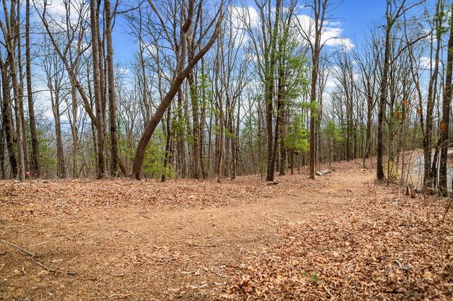 Lot 7 Pinhoti Pass, Ellijay, GA 30540