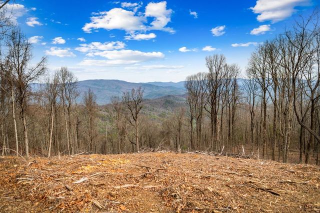 Lot 7 Pinhoti Pass, Ellijay, GA 30540