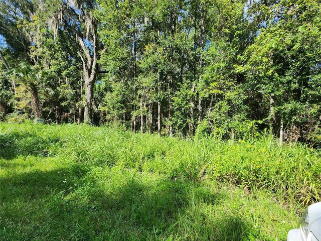 00 COUNTY ROAD 329, Micanopy, FL 32667