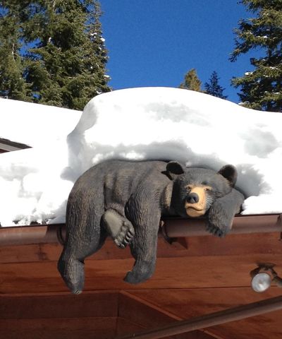 5750 Dodowah Road, Carnelian Bay, CA 96140