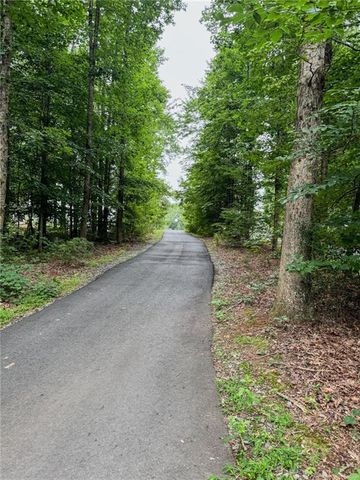 1250 Blue Ridge Overlook, Dawsonville, GA 30534