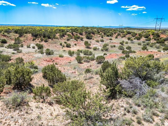 647 Taylor Ridge Estates Road, Abilene, TX 79601