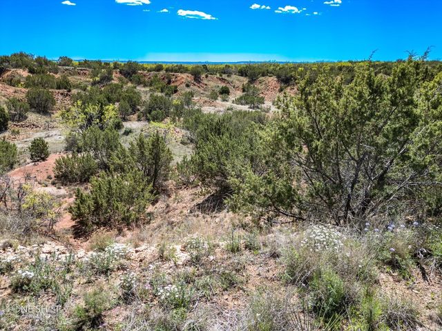 647 Taylor Ridge Estates Road, Abilene, TX 79601
