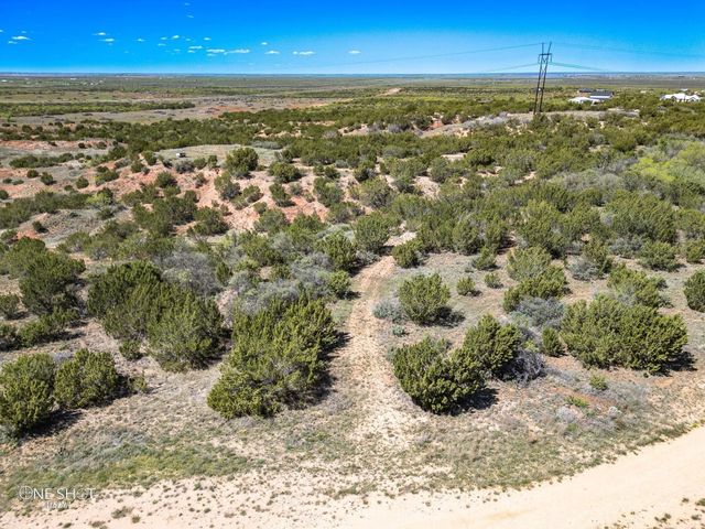 647 Taylor Ridge Estates Road, Abilene, TX 79601