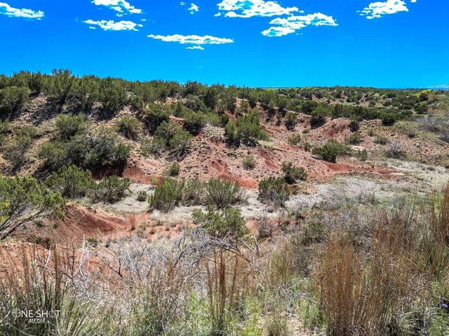 647 Taylor Ridge Estates Road, Abilene, TX 79601