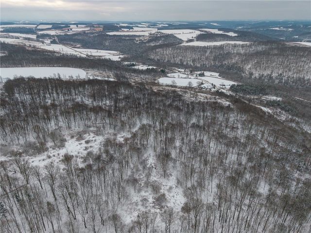 1870 Reiman Road, Greenwood, NY 14839