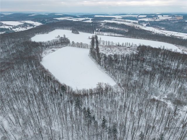 1870 Reiman Road, Greenwood, NY 14839