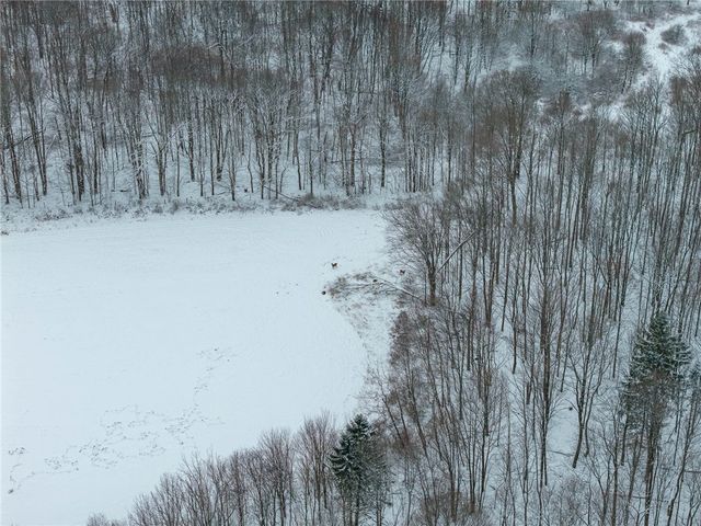 1870 Reiman Road, Greenwood, NY 14839