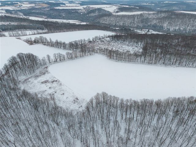 1870 Reiman Road, Greenwood, NY 14839