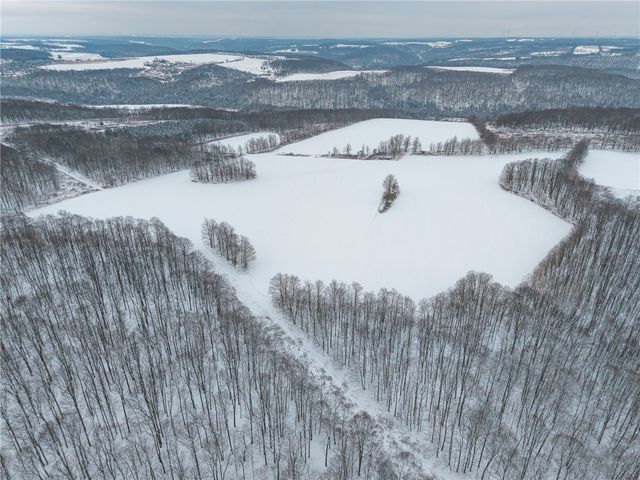 1870 Reiman Road, Greenwood, NY 14839