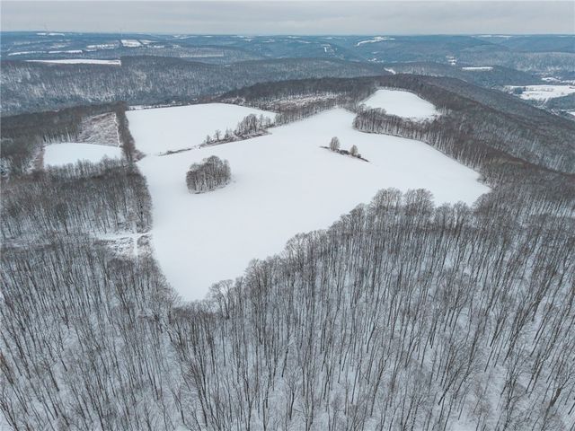 1870 Reiman Road, Greenwood, NY 14839