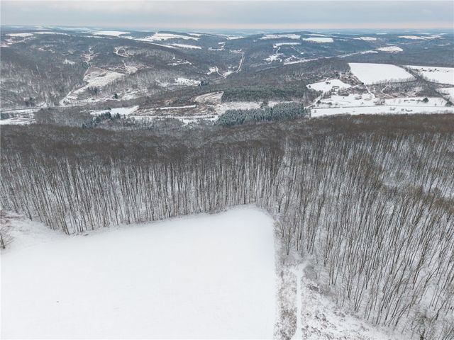 1870 Reiman Road, Greenwood, NY 14839