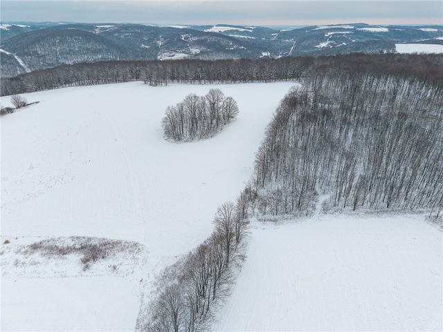 1870 Reiman Road, Greenwood, NY 14839